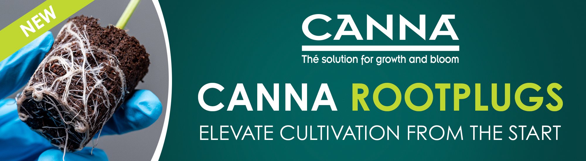 CANNA ROOTPLUGS WEB BANNER - ENG - NEW